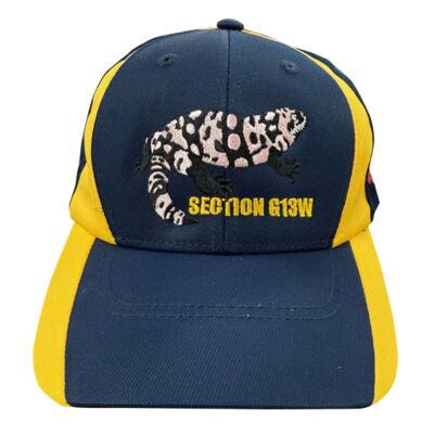 Papago - Dry Zone ® Nylon Colorblock Cap Thumbnail