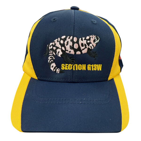 STC11 - Cap (Inventory) Thumbnail